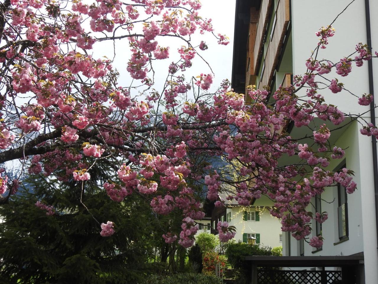 בראנד Hotel Garni Tannleger B&B מראה חיצוני תמונה