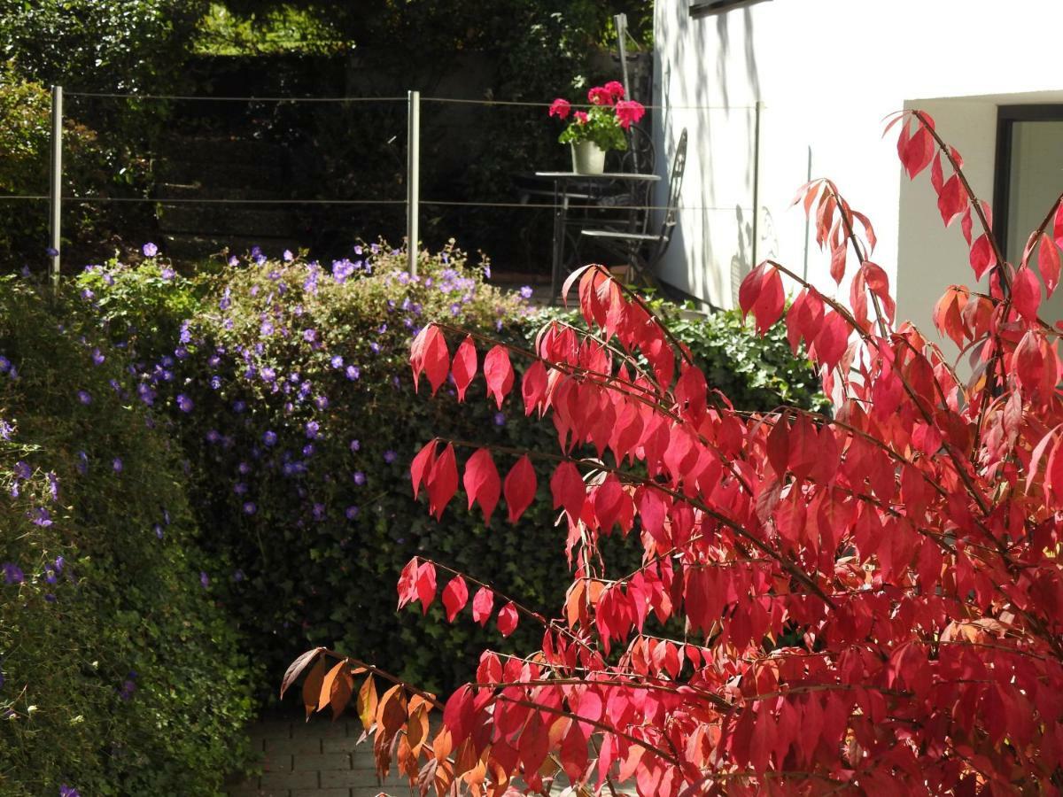 בראנד Hotel Garni Tannleger B&B מראה חיצוני תמונה